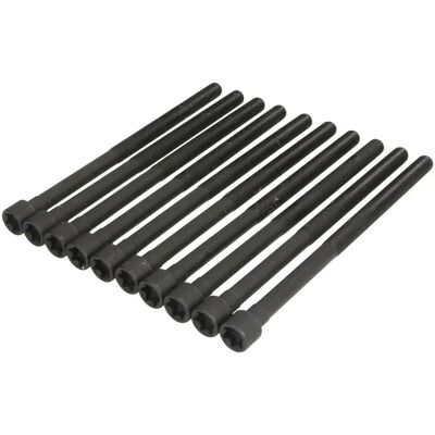 ELRING 794.470 Set di bulloni per testa del cilindro - Per BMW 1, 3 serie ELRING 794.470 Set di bulloni per testa del cilindro - Per BMW 1, 3 serie