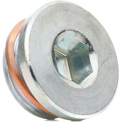 ELRING Olieaftapdop - Olieaftapdop M22x1,5x10 Zeskant 12mm ELRING Olieaftapdop - Olieaftapdop M22x1,5x10 Zeskant 12mm