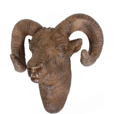 DEKO PLEASURE - Geweih Widder - antik-braun - Decorative item DEKO PLEASURE - Geweih Widder - antik-braun - Decorative item