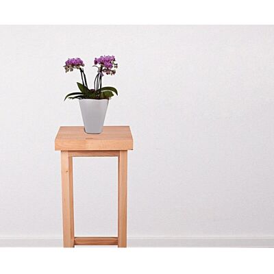 Support pour Plantes MARCO de Garden Pleasure - Élégant en Bois pour Intérieur & Extérieur - Publicité Support pour Plantes MARCO de Garden Pleasure - Élégant en Bois pour Intérieur & Extérieur - Publicité