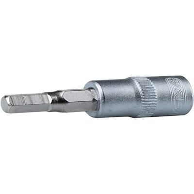 KS Tools 911.1436 Steckschlüsseleinsatz - 1/4 Zoll, 3mm, Chrom satiniert - Steckschlüssel KS Tools 911.1436 Steckschlüsseleinsatz - 1/4 Zoll, 3mm, Chrom satiniert - Steckschlüssel