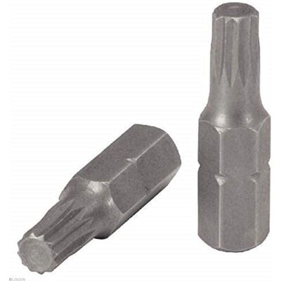 Insert per cacciavite XZN M8 Nichelato - 25mm - 5 pezzi Insert per cacciavite XZN M8 Nichelato - 25mm - 5 pezzi