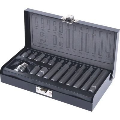Zestaw bitów imbusowych 10mm - 15 szt. Zestaw bitów imbusowych 10mm - 15 szt.