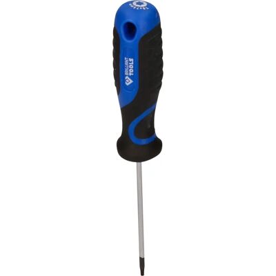 Tournevis T8 de Brilliant Tools - Outil de précision - Publicité Tournevis T8 de Brilliant Tools - Outil de précision - Publicité