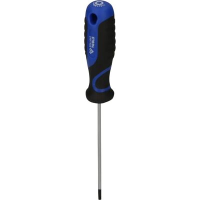 BRILLIANT TOOLS Tournevis TORX T10 - 100mm - Publicité BRILLIANT TOOLS Tournevis TORX T10 - 100mm - Publicité