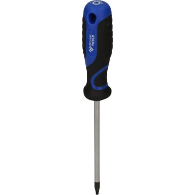 Brilliant Tools BT034906 - T15 Präzisions Torx Schraubendreher Brilliant Tools BT034906 - T15 Präzisions Torx Schraubendreher