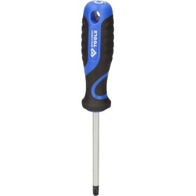 BRILLIANT TOOLS Tournevis Torx T40 - 100mm - Publicité BRILLIANT TOOLS Tournevis Torx T40 - 100mm - Publicité