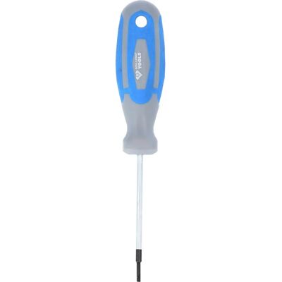BRILLIANT TOOLS - Schlitzschraubendreher, 2 mm BRILLIANT TOOLS - Schlitzschraubendreher, 2 mm