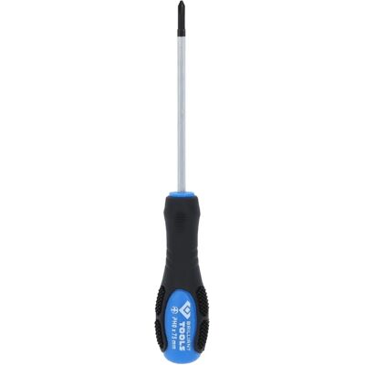 BRILLIANT TOOLS Kreuzschlitz-Schraubenzieher mit Schlagkappe, PH0 BRILLIANT TOOLS Kreuzschlitz-Schraubenzieher mit Schlagkappe, PH0