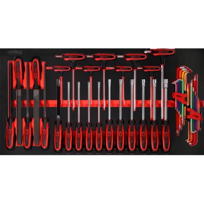 KS Tools 813.0042 Screwdriver and file set - Screwdriver and file set KS Tools 813.0042 Screwdriver and file set - Screwdriver and file set