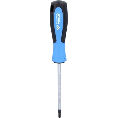 BRILLIANT TOOLS Torx Schraubendreher T25 - 10cm - Hochwertiges Profi-Werkzeug BRILLIANT TOOLS Torx Schraubendreher T25 - 10cm - Hochwertiges Profi-Werkzeug