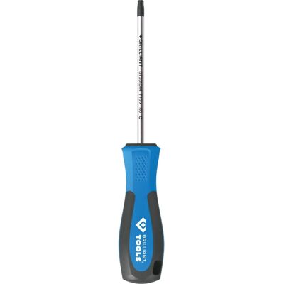 BRILLIANT TOOLS Brillant - Tournevis Torx T15 100mm - Publicité BRILLIANT TOOLS Brillant - Tournevis Torx T15 100mm - Publicité