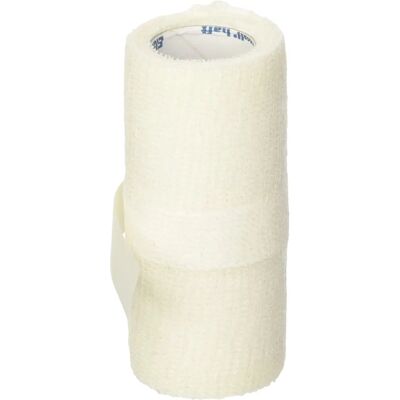Bsn Medical Elastomull Haft Bandage - Selbsthaftend, 4m x 10cm - Verband Bsn Medical Elastomull Haft Bandage - Selbsthaftend, 4m x 10cm - Verband