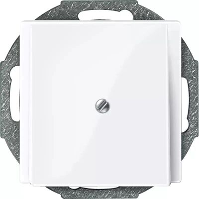 Merten Modell 296325 Wandplatte - Elektrische Abdeckung Merten Modell 296325 Wandplatte - Elektrische Abdeckung