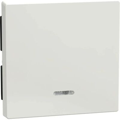 Tampa de cobertura de interruptor System M Merten - Branco polar - Interruptor de controle Tampa de cobertura de interruptor System M Merten - Branco polar - Interruptor de controle