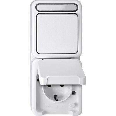 Schneider Electric 1 Piece Complete Switch/Socket AQUASTAR Polarwhite - Electrical Outlet and Switch Combination Schneider Electric 1 Piece Complete Switch/Socket AQUASTAR Polarwhite - Electrical Outlet and Switch Combination
