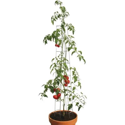 Bellissa Tomatenturm - Unterstützt Pflanzen 120cm Bellissa Tomatenturm - Unterstützt Pflanzen 120cm