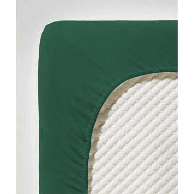 Fleuresse Comfort - Hochwertiges Jersey Spannbettlaken 200-220cm Fleuresse Comfort - Hochwertiges Jersey Spannbettlaken 200-220cm
