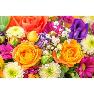PAPERMOON Chrysanthemenrosen Tapete - Tapete PAPERMOON Chrysanthemenrosen Tapete - Tapete