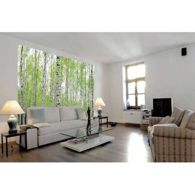 PAPERMOON Birkenwald Tapete - Natur, Bunt, 2,5m x 1,8m PAPERMOON Birkenwald Tapete - Natur, Bunt, 2,5m x 1,8m