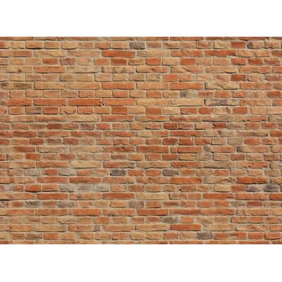 PAPERMOON Brickwall Wandtapete - Vlies, 2,5x1,86m, 5 Bahnen - Mehrfarben PAPERMOON Brickwall Wandtapete - Vlies, 2,5x1,86m, 5 Bahnen - Mehrfarben
