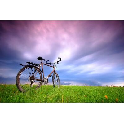 PAPERMOON Fahrrad in Grünland Fototapete - Wandbild PAPERMOON Fahrrad in Grünland Fototapete - Wandbild