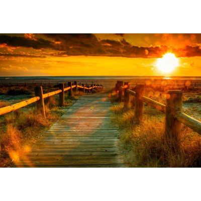 PAPERMOON Sonnenuntergang Strand Wandbild - Wandbild PAPERMOON Sonnenuntergang Strand Wandbild - Wandbild