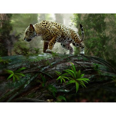 PAPERMOON Jaguar on the Prowl Tapete - Tapete PAPERMOON Jaguar on the Prowl Tapete - Tapete