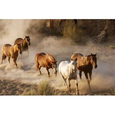 PAPERMOON Wild Horses Wandbild - Wandbild PAPERMOON Wild Horses Wandbild - Wandbild