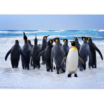 PAPERMOON King Penguins Tapete - Wandbild PAPERMOON King Penguins Tapete - Wandbild