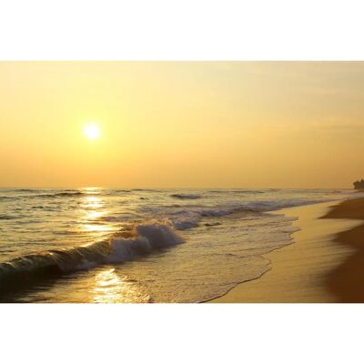 PAPERMOON Sonnenuntergang Strand Sri Lanka Tapete - Wanddeko PAPERMOON Sonnenuntergang Strand Sri Lanka Tapete - Wanddeko