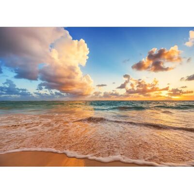 PAPERMOON Caribbean Beach Fototapete - Vlies, 3,5x2,6m, 7 Bahnen PAPERMOON Caribbean Beach Fototapete - Vlies, 3,5x2,6m, 7 Bahnen
