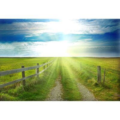 PAPERMOON Wandbild Landschaft Meer und Sonne - Vliestapete PAPERMOON Wandbild Landschaft Meer und Sonne - Vliestapete