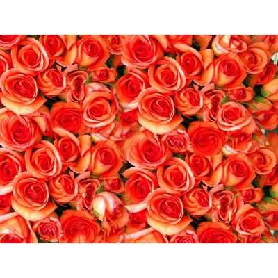 PAPERMOON Orange Roses Tapete - Wanddekoration 3x2.23m PAPERMOON Orange Roses Tapete - Wanddekoration 3x2.23m