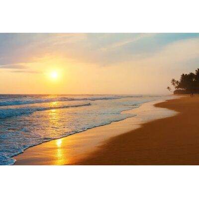 PAPERMOON Sri Lanka Beach Sunset Tapete - Tapeten PAPERMOON Sri Lanka Beach Sunset Tapete - Tapeten
