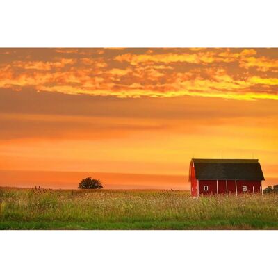 PAPERMOON Bauernhof Landschaft - Vlies Tapete - 3x2.23m PAPERMOON Bauernhof Landschaft - Vlies Tapete - 3x2.23m