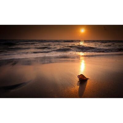 PAPERMOON Tropischer Strand Sonnenuntergang Tapete - Vlies PAPERMOON Tropischer Strand Sonnenuntergang Tapete - Vlies