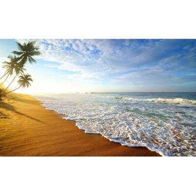 PAPERMOON Palm Beach Sri Lanka Bunt Tapete - Tapete PAPERMOON Palm Beach Sri Lanka Bunt Tapete - Tapete