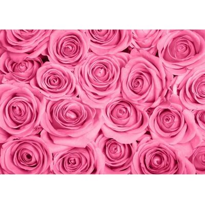 PAPERMOON Pink Roses Tapete - Vlies 4x2,6m - 8 Bahnen PAPERMOON Pink Roses Tapete - Vlies 4x2,6m - 8 Bahnen