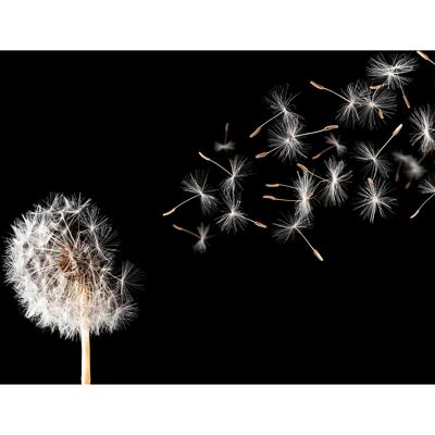 PAPERMOON Dandelion Vliestapete - 8 Bahnen PAPERMOON Dandelion Vliestapete - 8 Bahnen