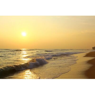 PAPERMOON Tropischer Sonnenuntergang Strand Tapete - Wandtapete PAPERMOON Tropischer Sonnenuntergang Strand Tapete - Wandtapete