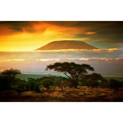 PAPERMOON Mount Kilimanjaro Clouds Tapete - Wanddekor PAPERMOON Mount Kilimanjaro Clouds Tapete - Wanddekor