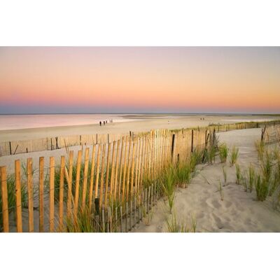 PAPERMOON Dunes Cape Cod Tapete - Tapeten, Mehrfarbig, 5m x 2,8m PAPERMOON Dunes Cape Cod Tapete - Tapeten, Mehrfarbig, 5m x 2,8m