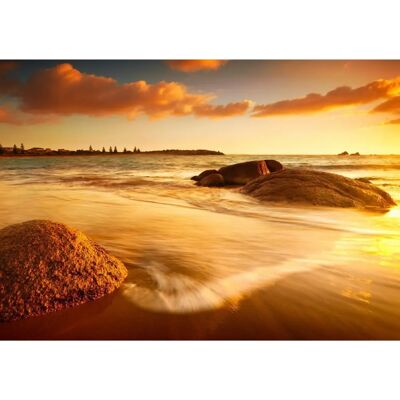 PAPERMOON Sun Tintes Beach Tapete - Vlies, 5x2,8m, 10 Bahnen PAPERMOON Sun Tintes Beach Tapete - Vlies, 5x2,8m, 10 Bahnen