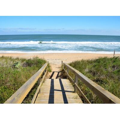 PAPERMOON Dunes St Augustine Tapete - Wanddeko PAPERMOON Dunes St Augustine Tapete - Wanddeko
