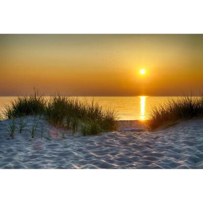 PAPERMOON Dunes Lake Michigan Tapete - Tapeten PAPERMOON Dunes Lake Michigan Tapete - Tapeten