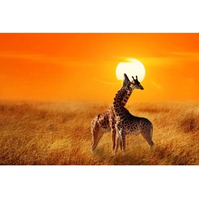 PAPERMOON Giraffen Sonnenuntergang Tapete - Wanddeko PAPERMOON Giraffen Sonnenuntergang Tapete - Wanddeko