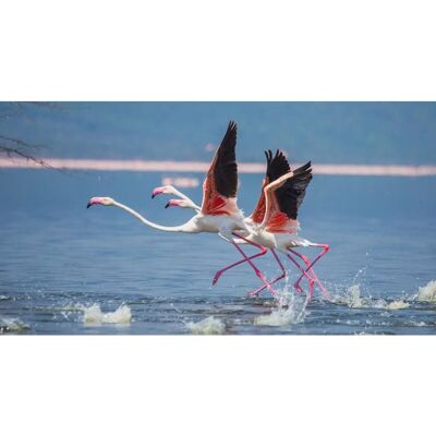 PAPERMOON Flamingos Wandbild - Landschaft Deko PAPERMOON Flamingos Wandbild - Landschaft Deko