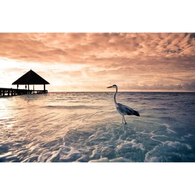 PAPERMOON Flamingo Tropical Beach - Tapete PAPERMOON Flamingo Tropical Beach - Tapete