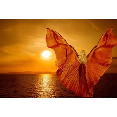 PAPIERMOON Schmetterling Fantasy Wandbild - Tapete mit Vlies, 4m x 2,6m PAPIERMOON Schmetterling Fantasy Wandbild - Tapete mit Vlies, 4m x 2,6m